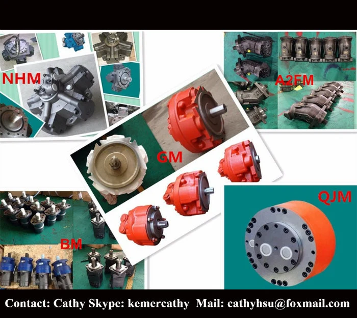 Hydraulic Motor